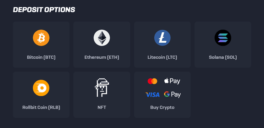 Rollbit Payment Options