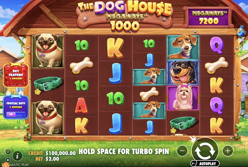 The Dog House Megaways 1000 Slot